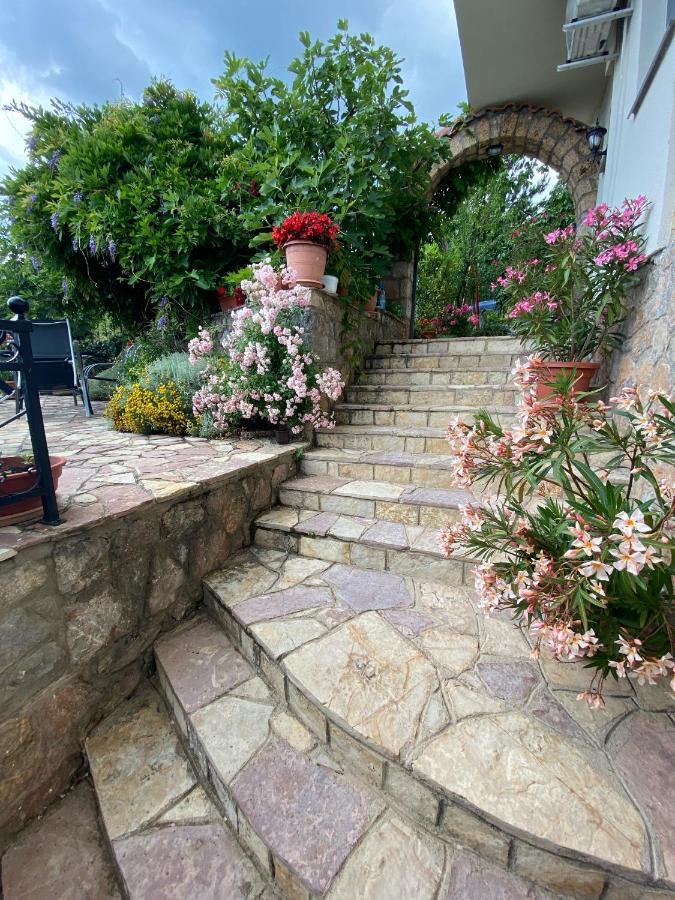 Agape Apartment สตรูกา ภายนอก รูปภาพ